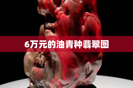6萬元的油青種翡翠圖