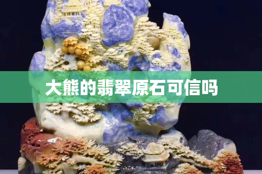 大熊的翡翠原石可信嗎