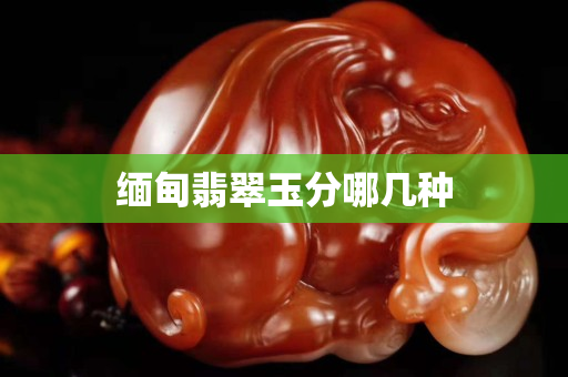 緬甸翡翠玉分哪幾種