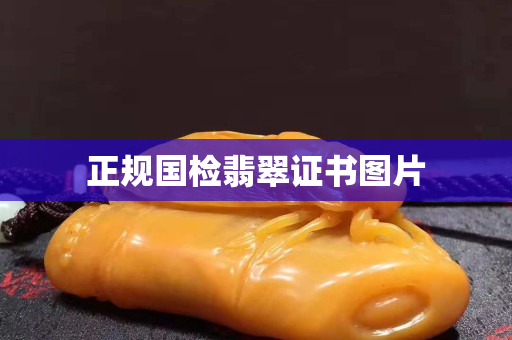 正規(guī)國(guó)檢翡翠證書圖片