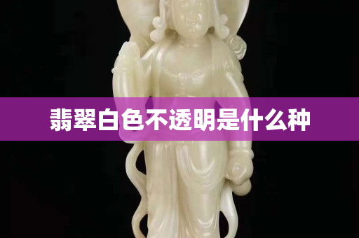 翡翠白色不透明是什么種