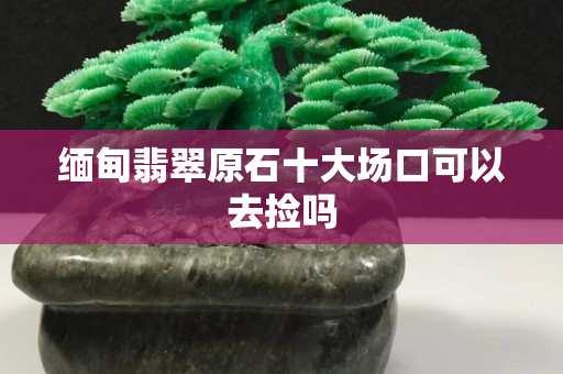 緬甸翡翠原石十大場口可以去撿嗎