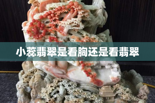 小蕊翡翠是看胸還是看翡翠