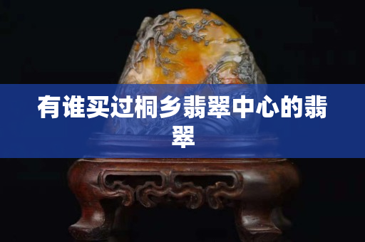 有誰買過桐鄉翡翠中心的翡翠