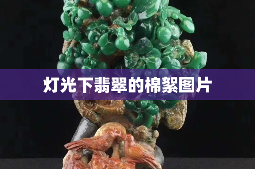 燈光下翡翠的棉絮圖片