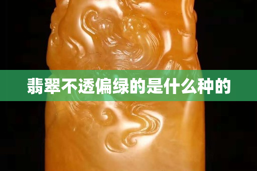 翡翠不透偏綠的是什么種的