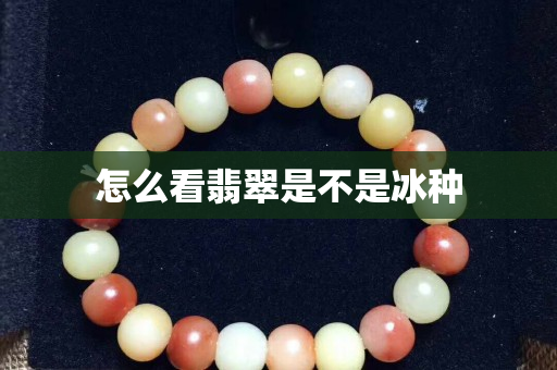 怎么看翡翠是不是冰種