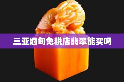 三亞緬甸免稅店翡翠能買嗎