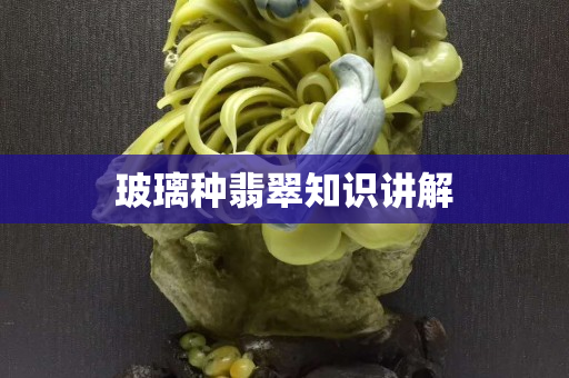 玻璃種翡翠知識講解