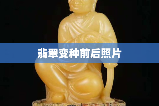 翡翠變種前后照片