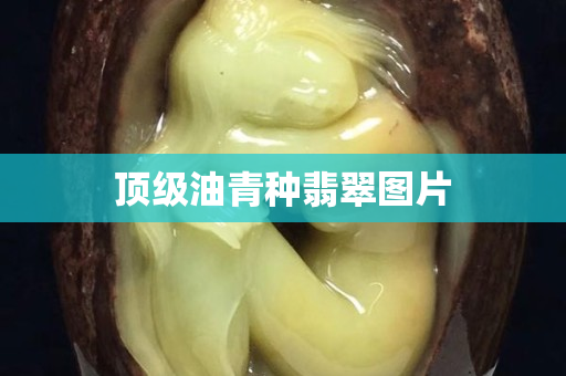 頂級油青種翡翠圖片
