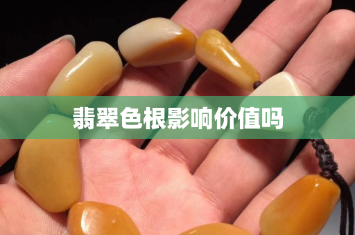 翡翠色根影響價值嗎