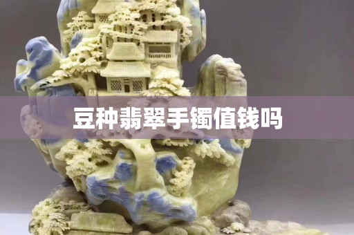 豆種翡翠手鐲值錢嗎
