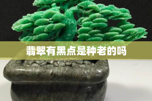 翡翠有黑點是種老的嗎