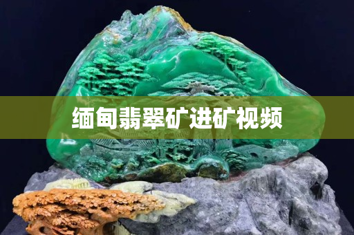 緬甸翡翠礦進礦視頻