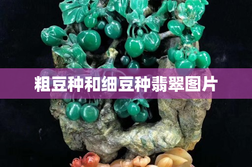 粗豆種和細豆種翡翠圖片