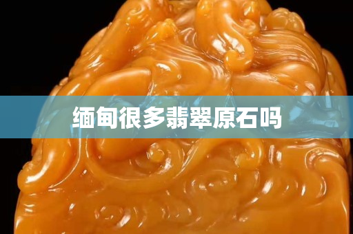 緬甸很多翡翠原石嗎