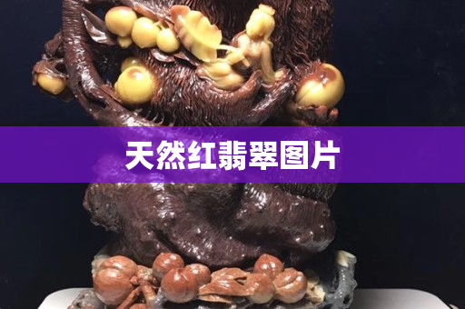 天然紅翡翠圖片