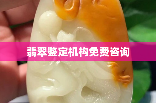 翡翠鑒定機構免費咨詢
