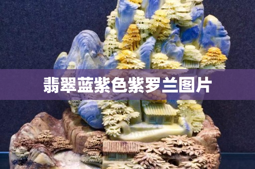 翡翠藍紫色紫羅蘭圖片
