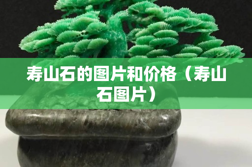 壽山石的圖片和價(jià)格（壽山石圖片）