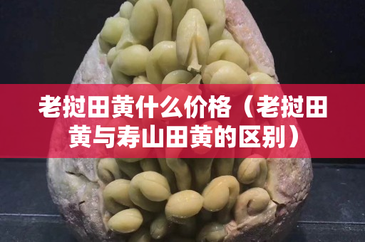 老撾田黃什么價格（老撾田黃與壽山田黃的區別）