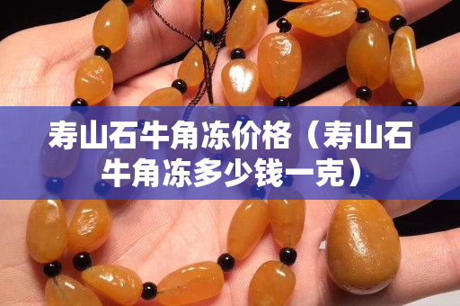壽山石牛角凍價(jià)格（壽山石牛角凍多少錢一克）