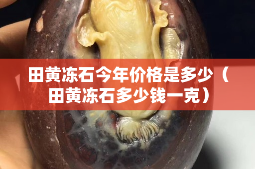 田黃凍石今年價格是多少（田黃凍石多少錢一克）