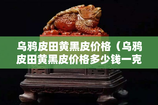 烏鴉皮田黃黑皮價格（烏鴉皮田黃黑皮價格多少錢一克）