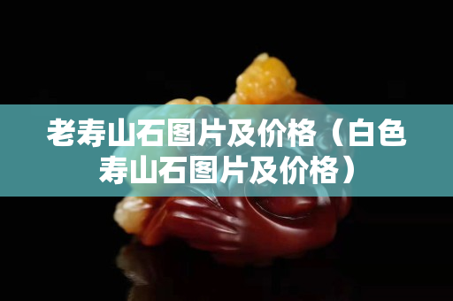 老壽山石圖片及價格（白色壽山石圖片及價格）