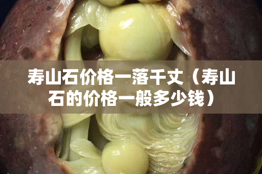 壽山石價格一落千丈（壽山石的價格一般多少錢）