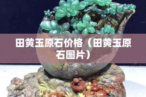 田黃玉原石價格（田黃玉原石圖片）
