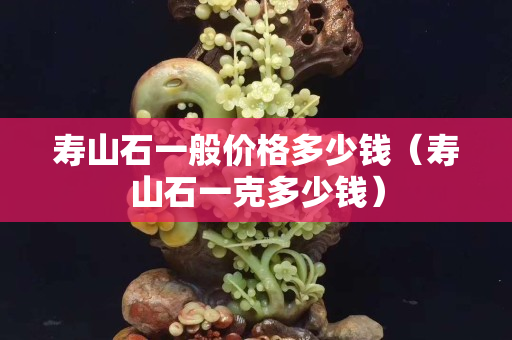 壽山石一般價(jià)格多少錢（壽山石一克多少錢）