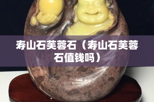 壽山石芙蓉石（壽山石芙蓉石值錢嗎）