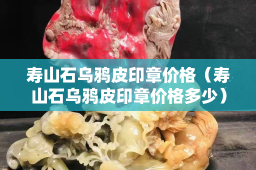 壽山石烏鴉皮印章價格（壽山石烏鴉皮印章價格多少）
