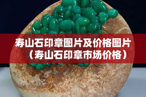 壽山石印章圖片及價格圖片（壽山石印章市場價格）