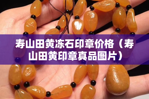 壽山田黃凍石印章價格（壽山田黃印章真品圖片）