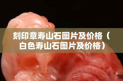 刻印章壽山石圖片及價(jià)格（白色壽山石圖片及價(jià)格）