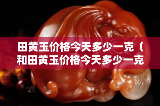 田黃玉價格今天多少一克（和田黃玉價格今天多少一克）