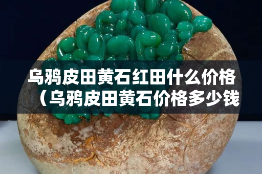 烏鴉皮田黃石紅田什么價格（烏鴉皮田黃石價格多少錢一克）