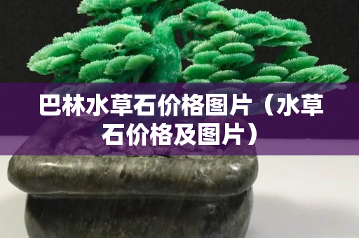 巴林水草石價格圖片（水草石價格及圖片）