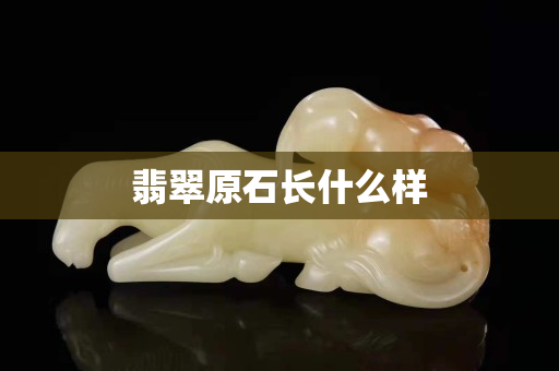 翡翠原石長什么樣