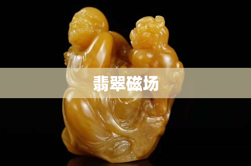 翡翠磁場
