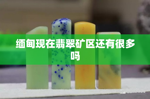 緬甸現在翡翠礦區還有很多嗎