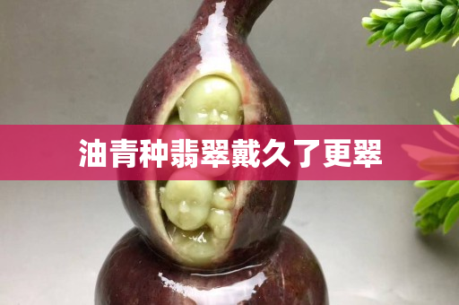 油青種翡翠戴久了更翠