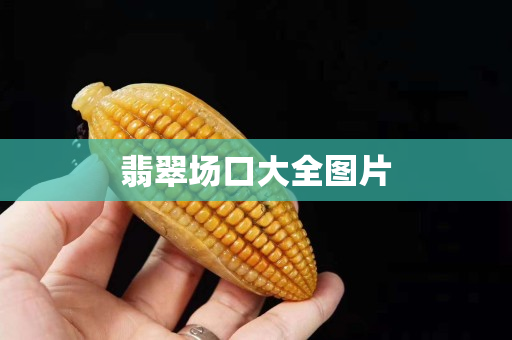 翡翠場(chǎng)口大全圖片