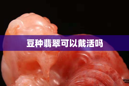 豆種翡翠可以戴活嗎