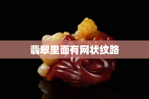 翡翠里面有網(wǎng)狀紋路