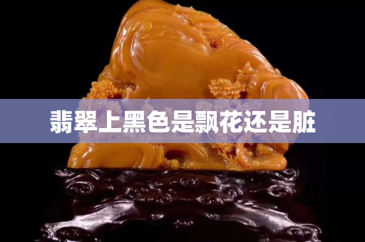 翡翠上黑色是飄花還是臟