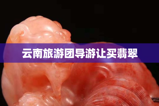 云南旅游團導游讓買翡翠